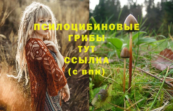 прущая мука Лихославль