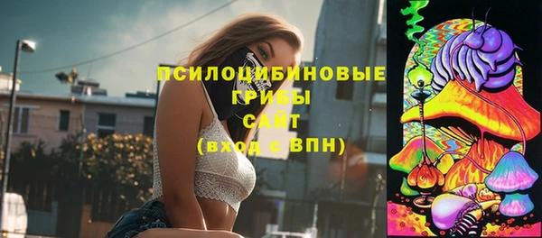 винт Магас